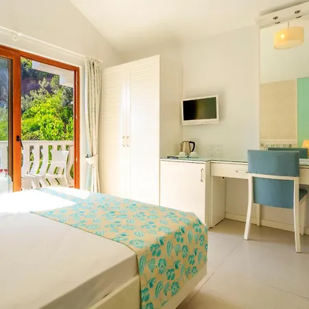 Ami Tai Superıor Pet Lovers Hotel *