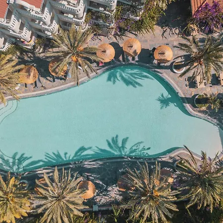 Ami Tai Superior Pet Lovers *