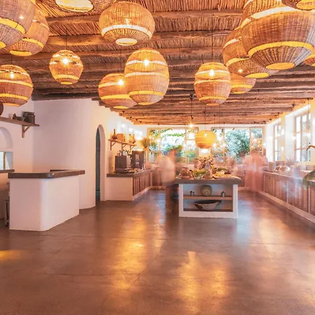 Ami Tai Superior Pet Lovers *