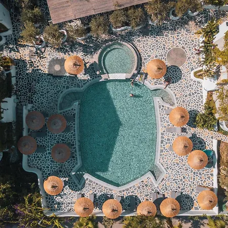 Hotel Ami Tai Superior Pet Lovers