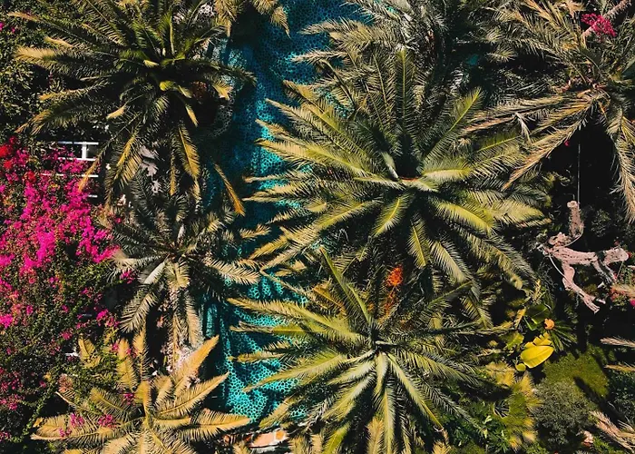 Ami Tai Superior Pet Lovers *